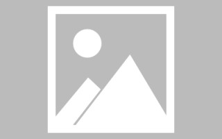 贺州龙江乐从网站建设（乐从和龙江）
